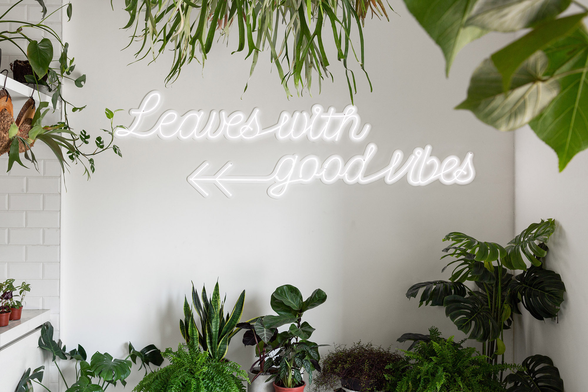 午葉 Leaves Cafe&Dining