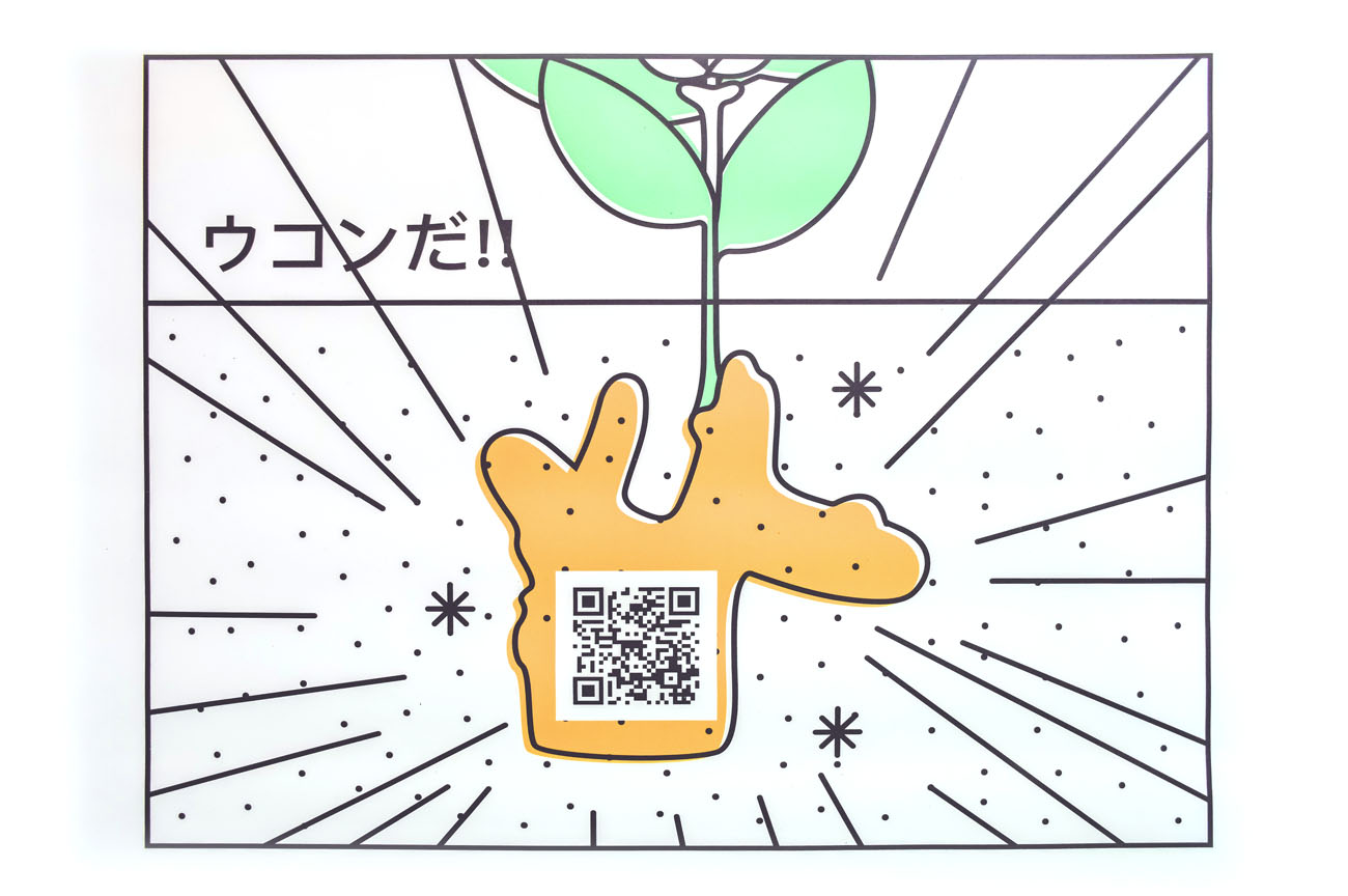 花賜康 Flothy