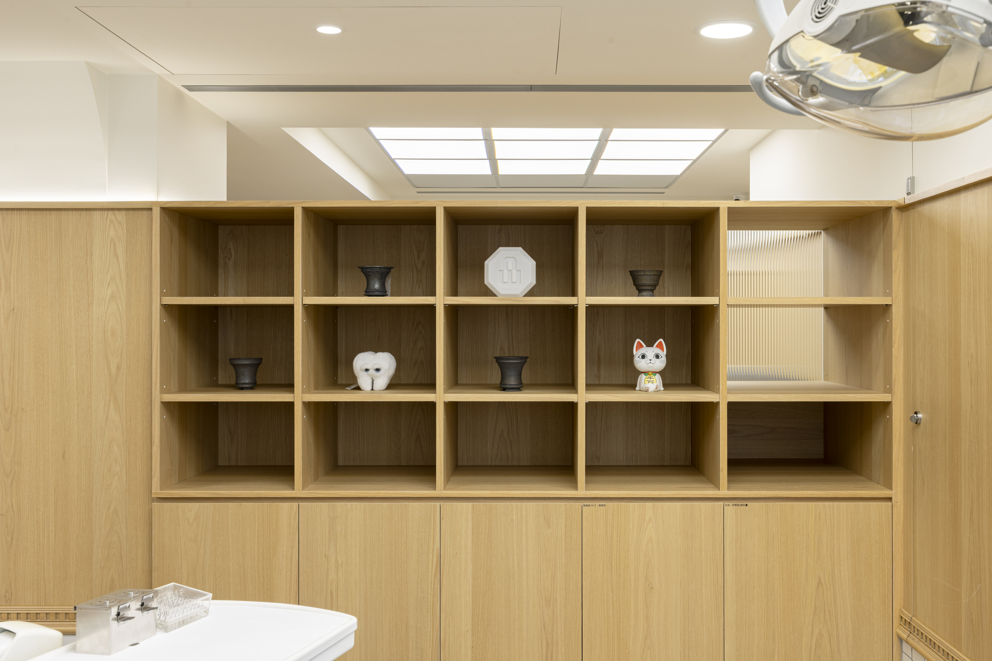Well Promise Dental Clinic