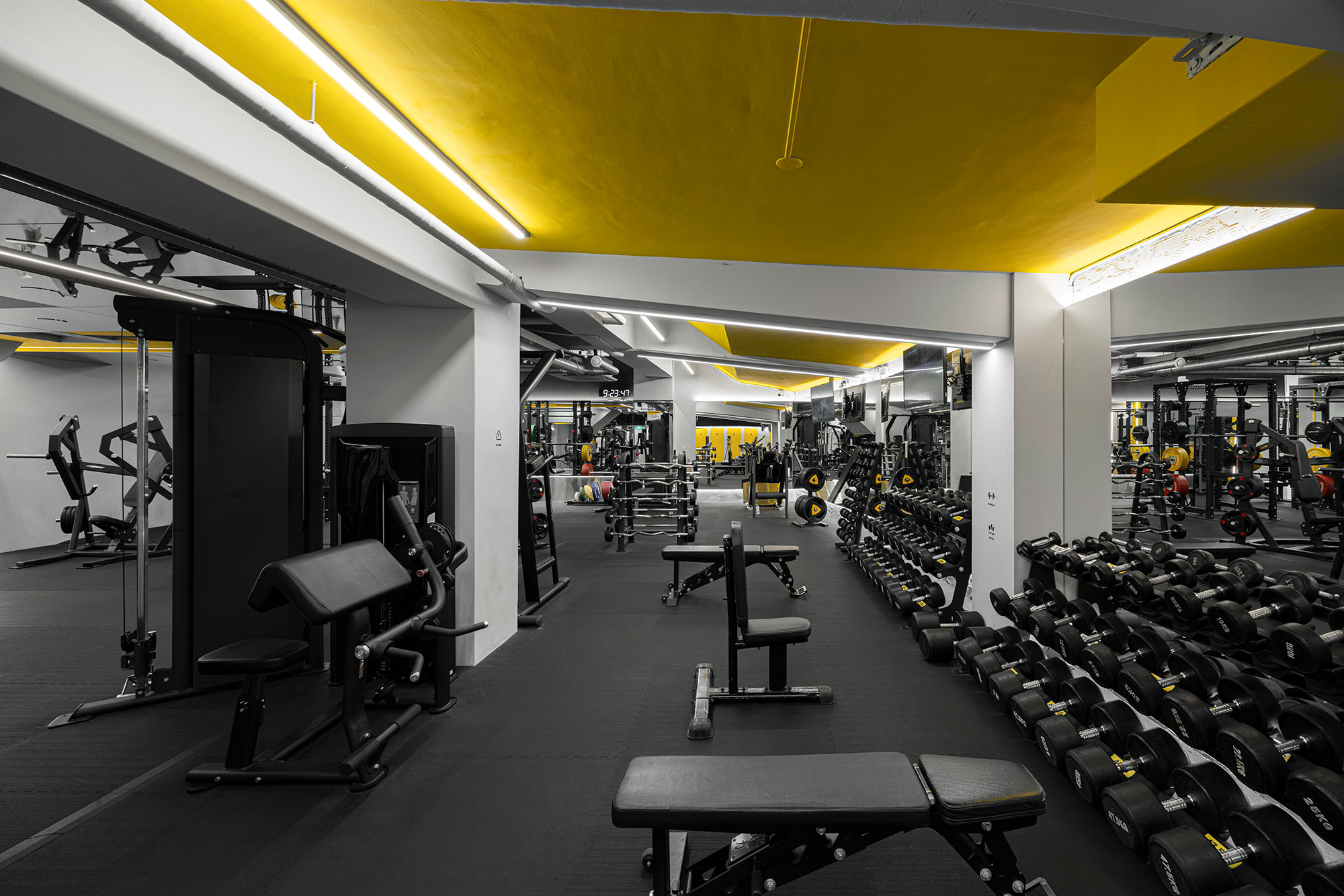 Gym Cube