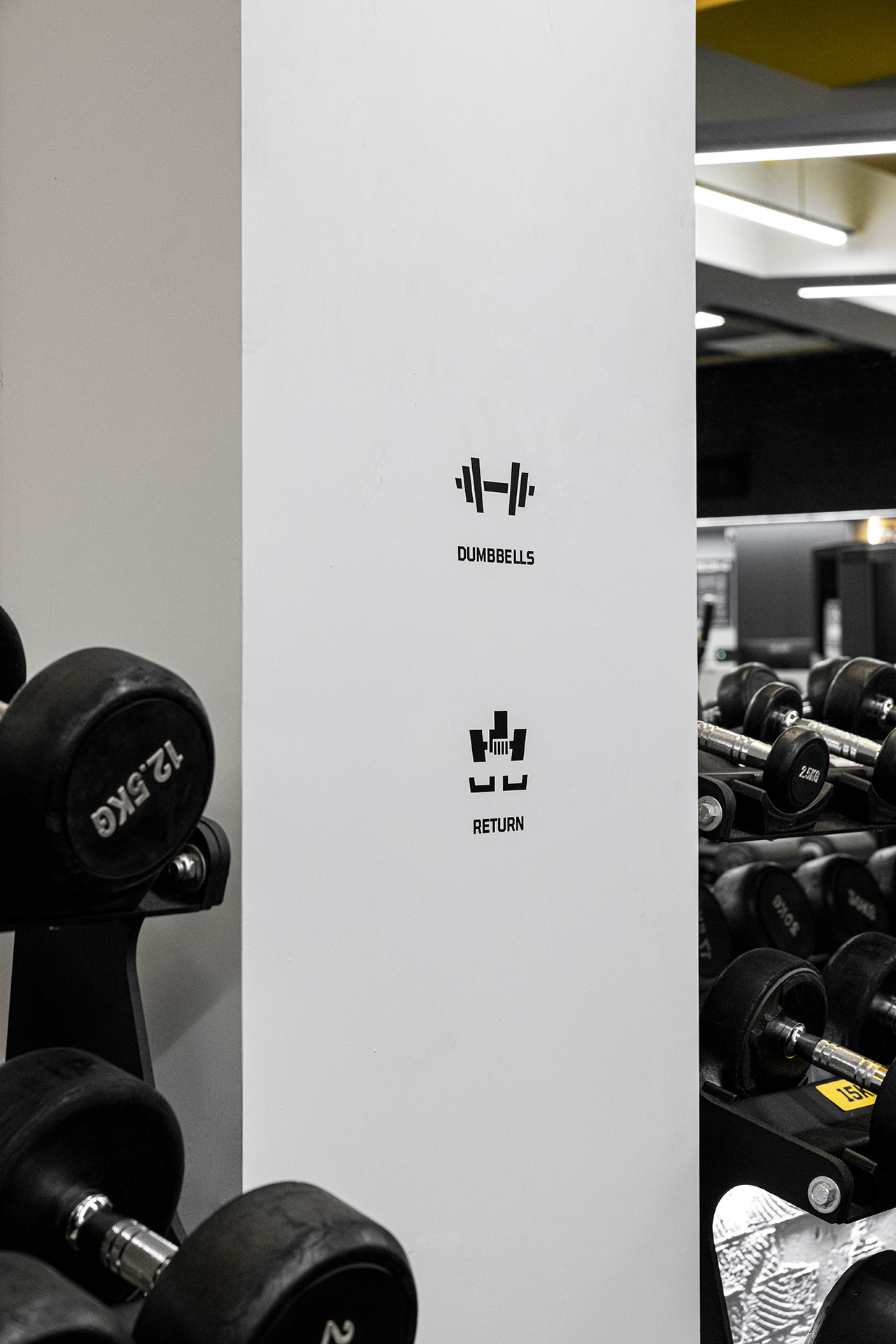 Gym Cube